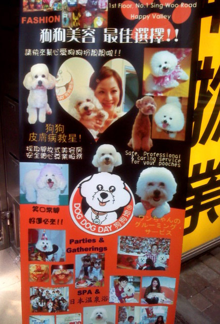 dogspa.jpg